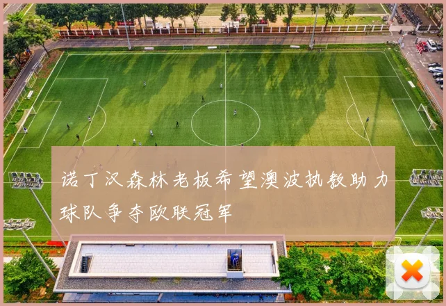 诺丁汉森林老板希望澳波执教助力球队争夺欧联冠军