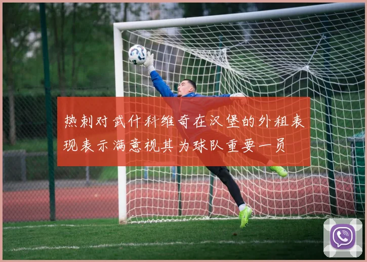 热刺对武什科维奇在汉堡的外租表现表示满意视其为球队重要一员